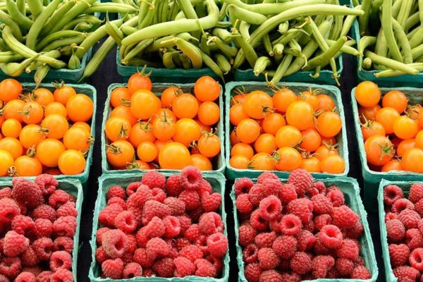 The Farmers’ Market: A Trip To Bountiful